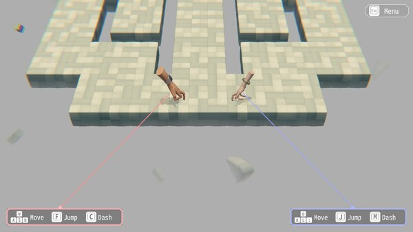 Hypotheses on the Symmetry between Vision and Hands screenshot 1