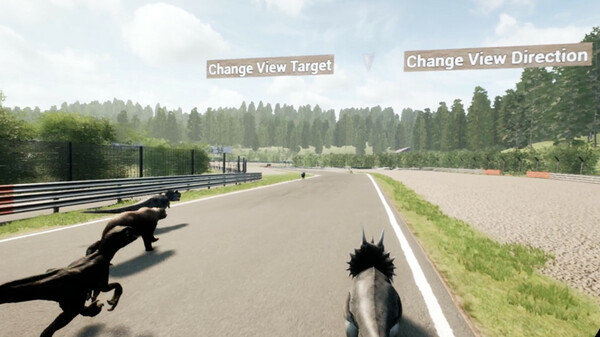 Animal Race Run VR screenshot 4