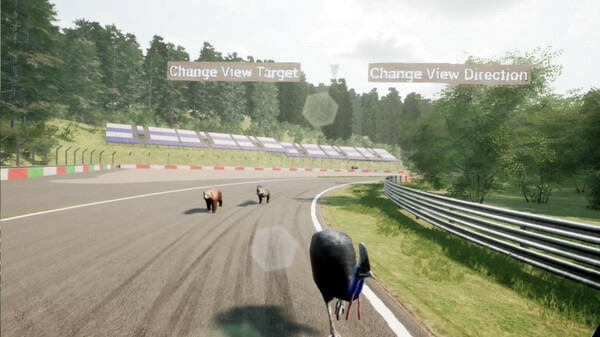 Animal Race Run VR screenshot 2
