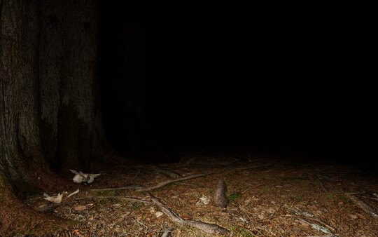 Escape Floor Zero screenshot 4