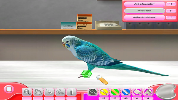 My Vet Practice - In the Country screenshot 8