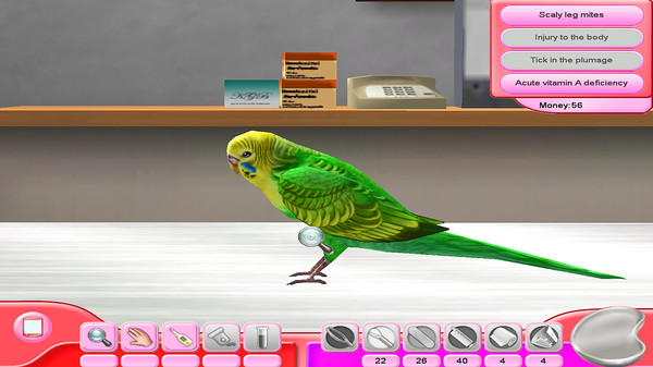 My Vet Practice - In the Country screenshot 3