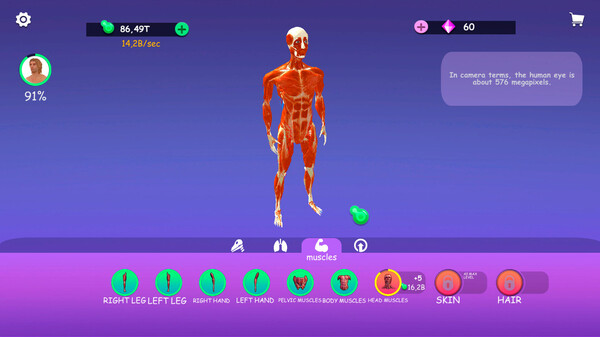 IDLE Animal Anatomy screenshot 4