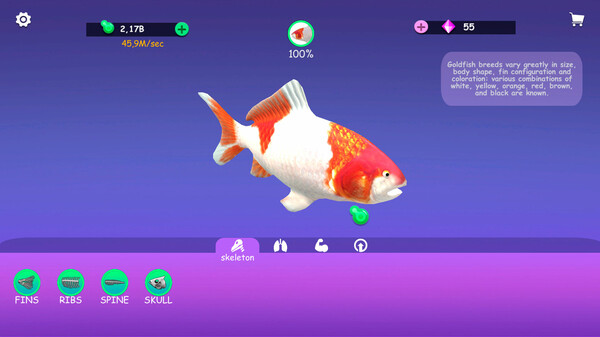 IDLE Animal Anatomy screenshot 3