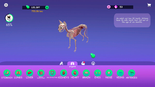 IDLE Animal Anatomy screenshot 1