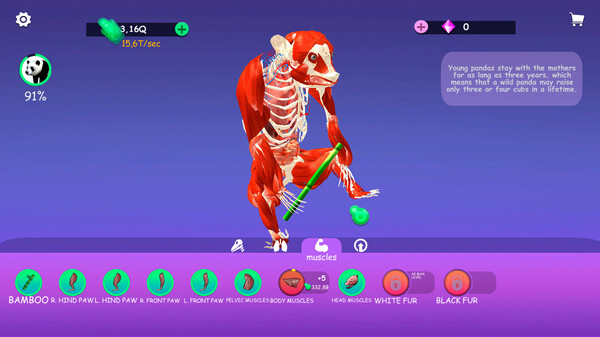 IDLE Animal Anatomy screenshot 2
