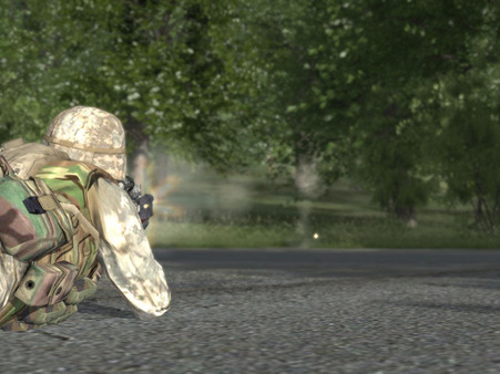 ARMA: Combat Operations screenshot 6