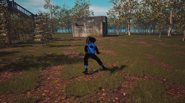 Hood Ninja screenshot 4
