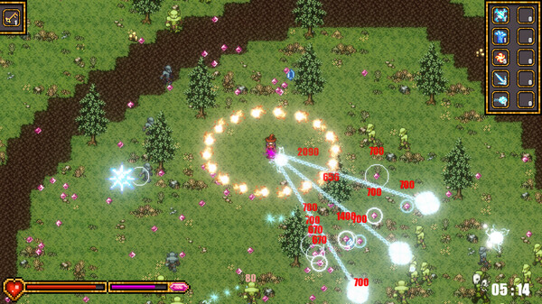 Arcane Chaos screenshot 2