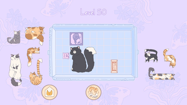 Cats in Boxes screenshot 4