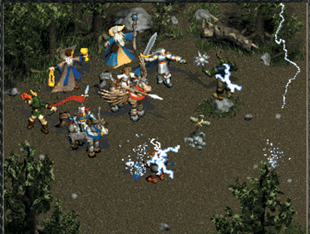 Disciples Sacred Lands Gold screenshot 5