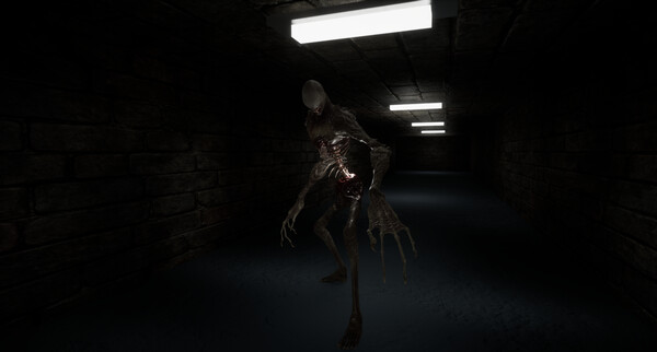 The Corridors screenshot 1