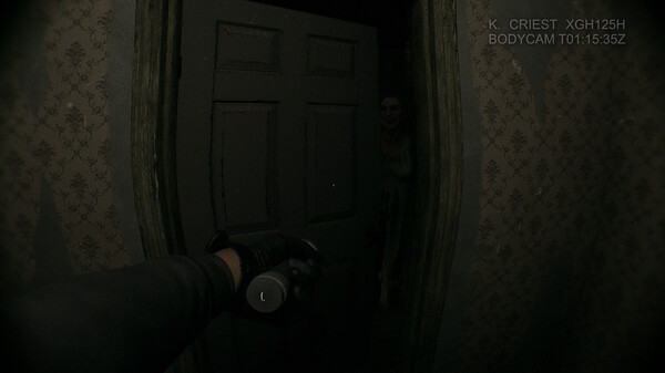Baisu screenshot 2