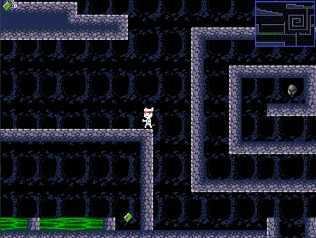 Nine Lives Ninja: Explore! screenshot 3
