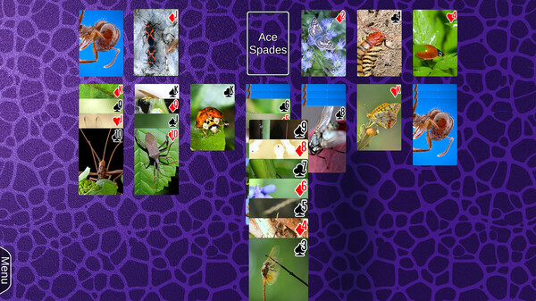 Wyvern Studios Solitaire: 30th Aniversary Edition screenshot 3