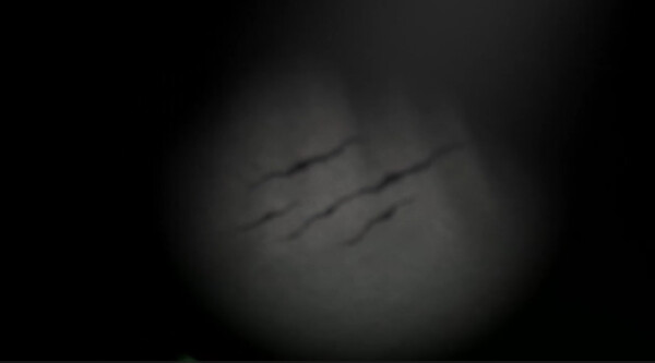 Somnium Tenebris screenshot 1