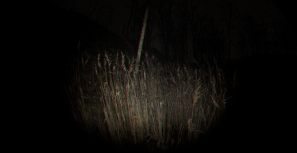Playback Trauma: The Dog screenshot 5