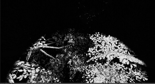 Monkey See, Monkey Doo, Monkey Kiss You screenshot 6