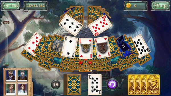 Detective Secrets Solitaire. The Curse of the Village screenshot 3