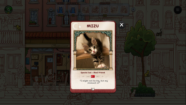 Hidden Cats in Istanbul screenshot 5