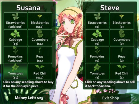 Flower Shop: Summer In Fairbrook screenshot 2