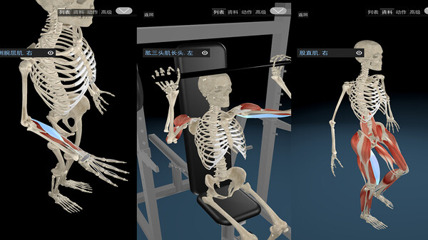Kinetic Anatomy 3D screenshot 6