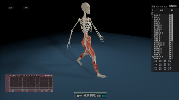 Kinetic Anatomy 3D screenshot 5