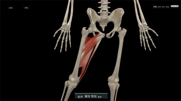 Kinetic Anatomy 3D screenshot 3