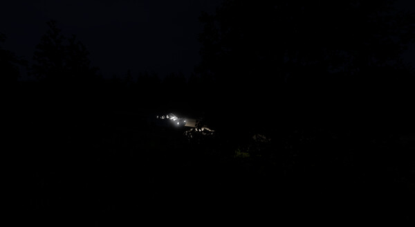 Midway accident screenshot 12
