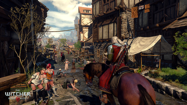 The Witcher 3: Wild Hunt - Complete Edition screenshot 11