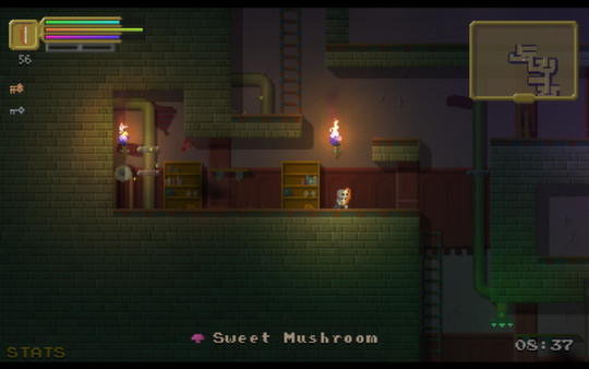 The Dungeoning screenshot 6