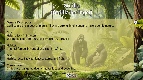 My Life: Zoo Vet screenshot 11