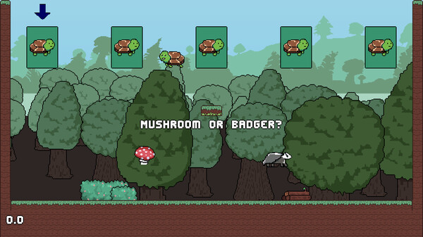 TurtleRun screenshot 4