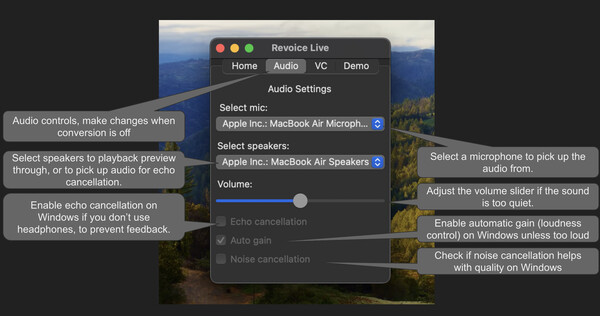 RevoiceLive screenshot 2