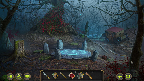 Mystery Detective Adventure Collector's Edition screenshot 7