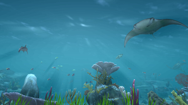 Aqua TV screenshot 3