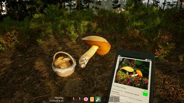 Mushroom Season screenshot 3