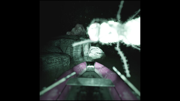 Raccoon on a boat screenshot 2