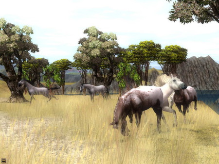 Wildlife Park 2 - Horses screenshot 10