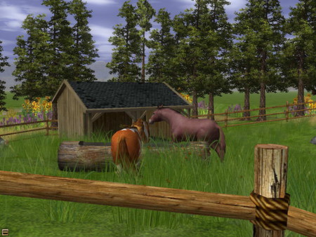 Wildlife Park 2 - Horses screenshot 6