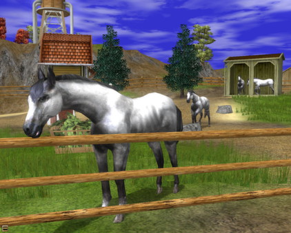 Wildlife Park 2 - Horses screenshot 4