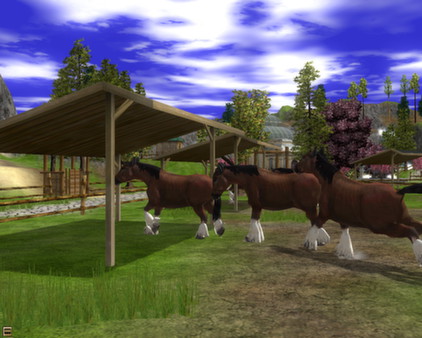 Wildlife Park 2 - Horses screenshot 2