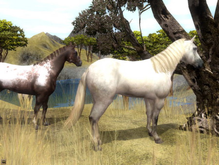 Wildlife Park 2 - Horses screenshot 11
