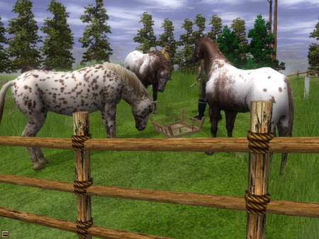 Wildlife Park 2 - Horses screenshot 9