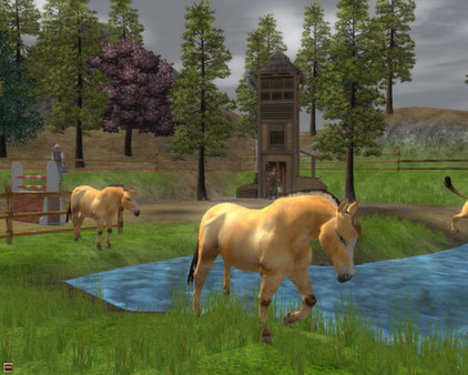 Wildlife Park 2 - Horses screenshot 0