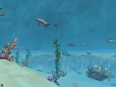 Wildlife Park 2 - Marine World screenshot 6