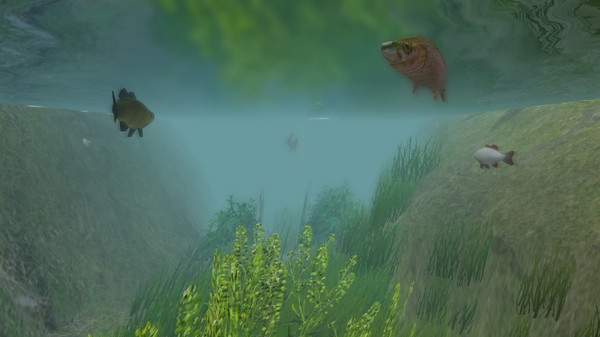 European Fishing screenshot 4