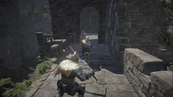 Dragon's Dog mother screenshot 8