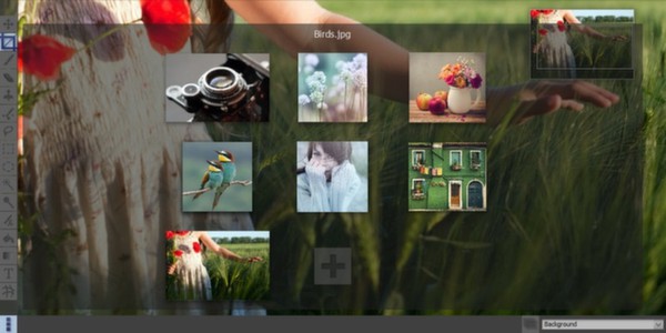 Pixeluvo screenshot 6