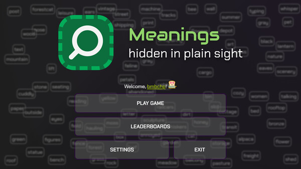 Meanings hidden in plain sight screenshot 1